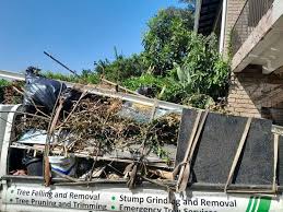 Best Office Cleanout  in Taylorsville, MS
