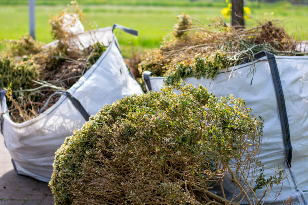 Best Demolition Debris Removal  in Taylorsville, MS